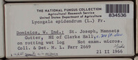 Image Associated With the Occurence